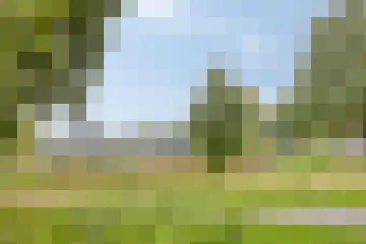 Magnoliahof 21 's-Hertogenbosch thumbnail 26