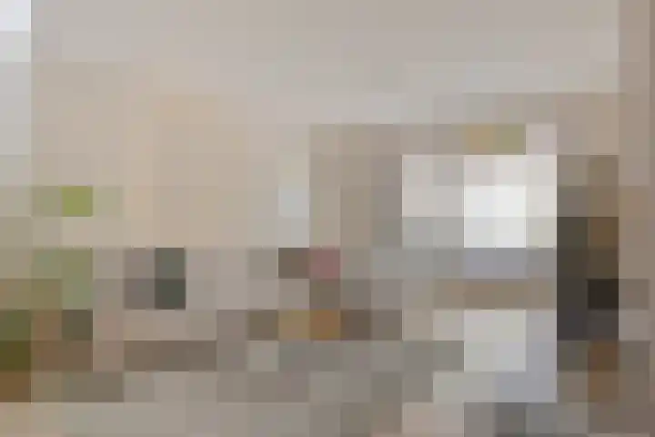 Magnoliahof 21 's-Hertogenbosch thumbnail 4