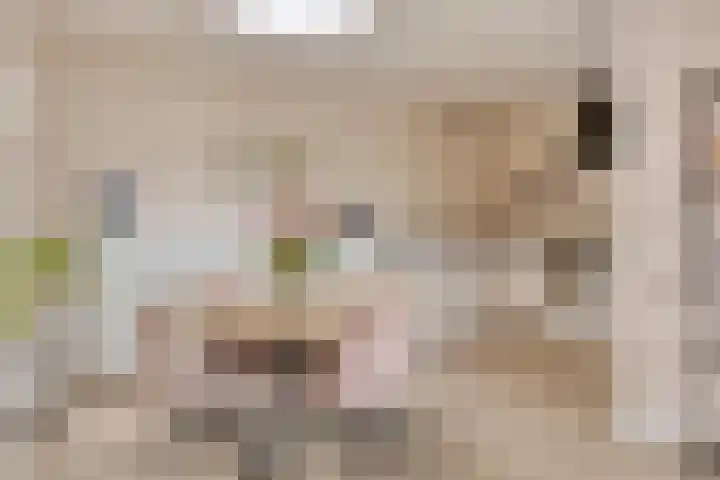 Magnoliahof 21 's-Hertogenbosch thumbnail 7