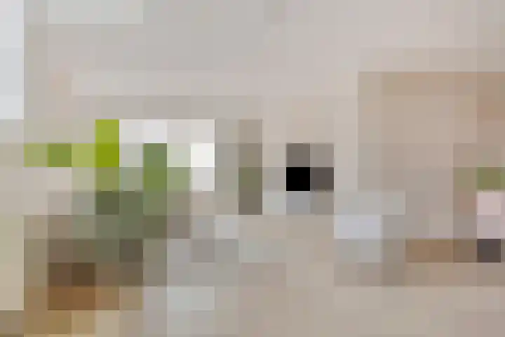 Magnoliahof 21 's-Hertogenbosch thumbnail 9