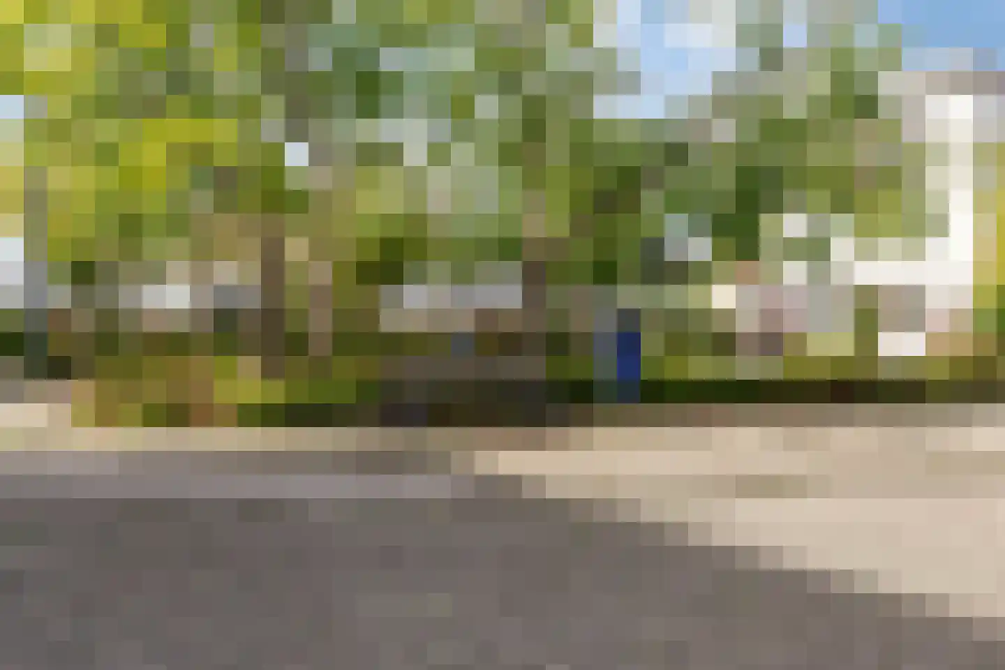 Magnoliahof 25 's-Hertogenbosch thumbnail 26