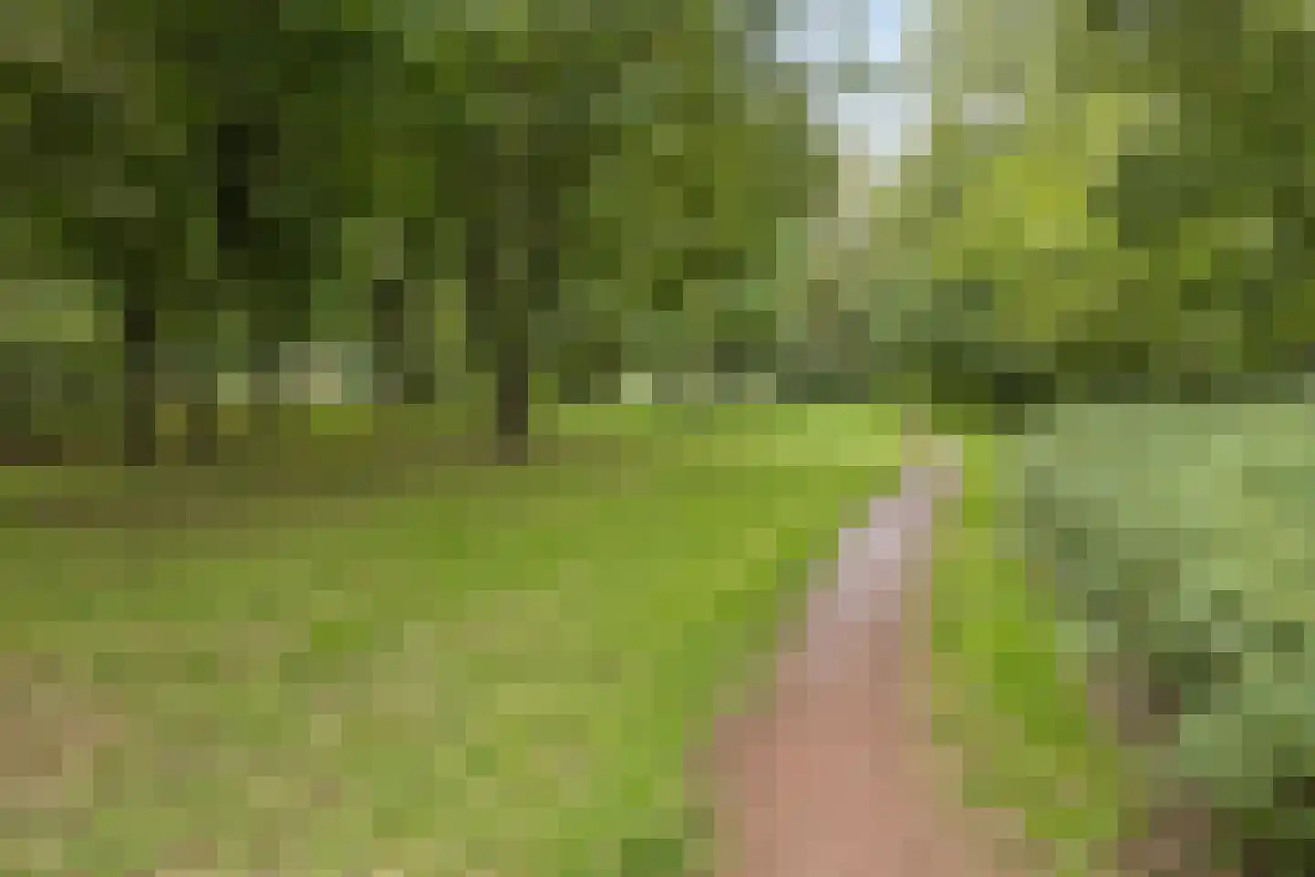 Magnoliahof 25 's-Hertogenbosch thumbnail 29