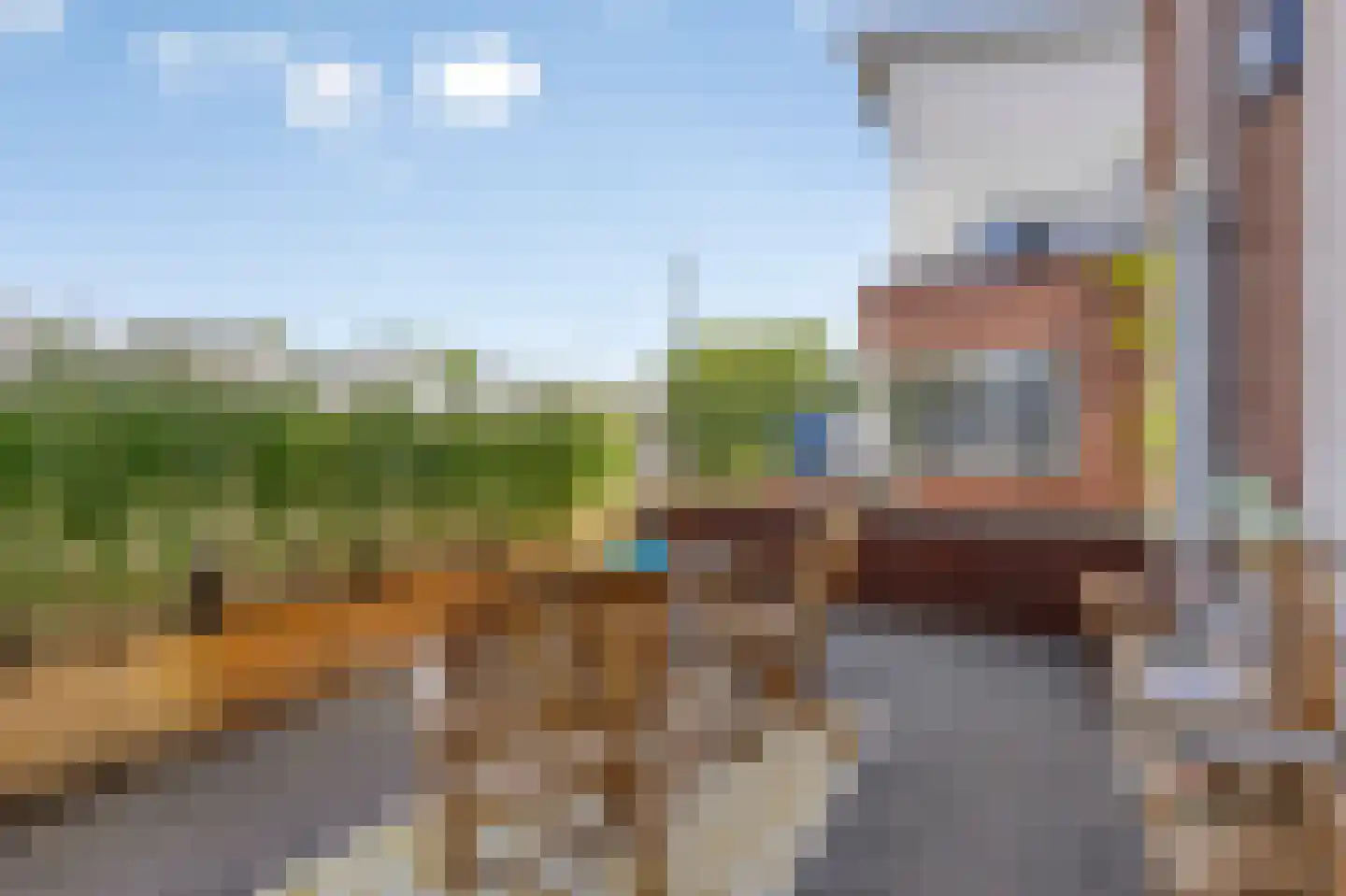 Magnoliahof 25 's-Hertogenbosch thumbnail 6
