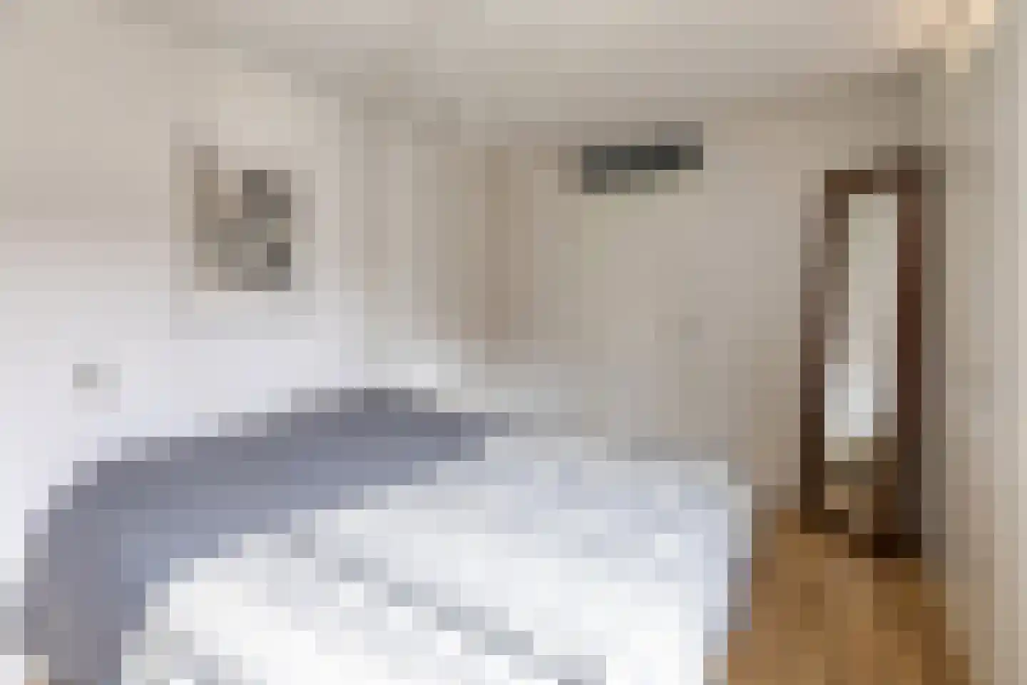 Magnoliahof 69 's-Hertogenbosch thumbnail 15
