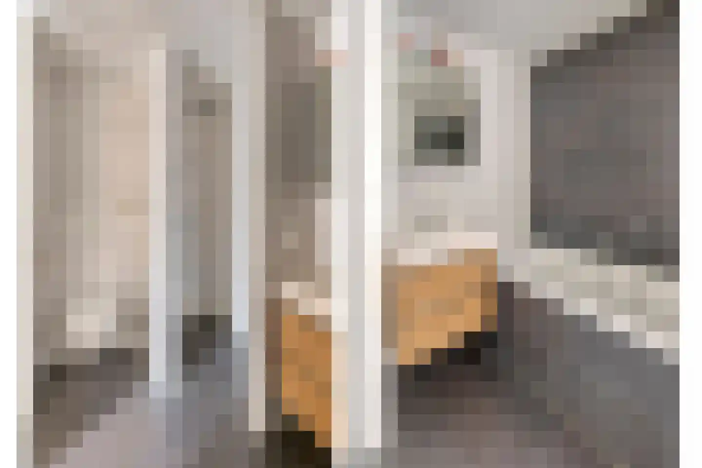 Magnoliahof 69 's-Hertogenbosch thumbnail 16