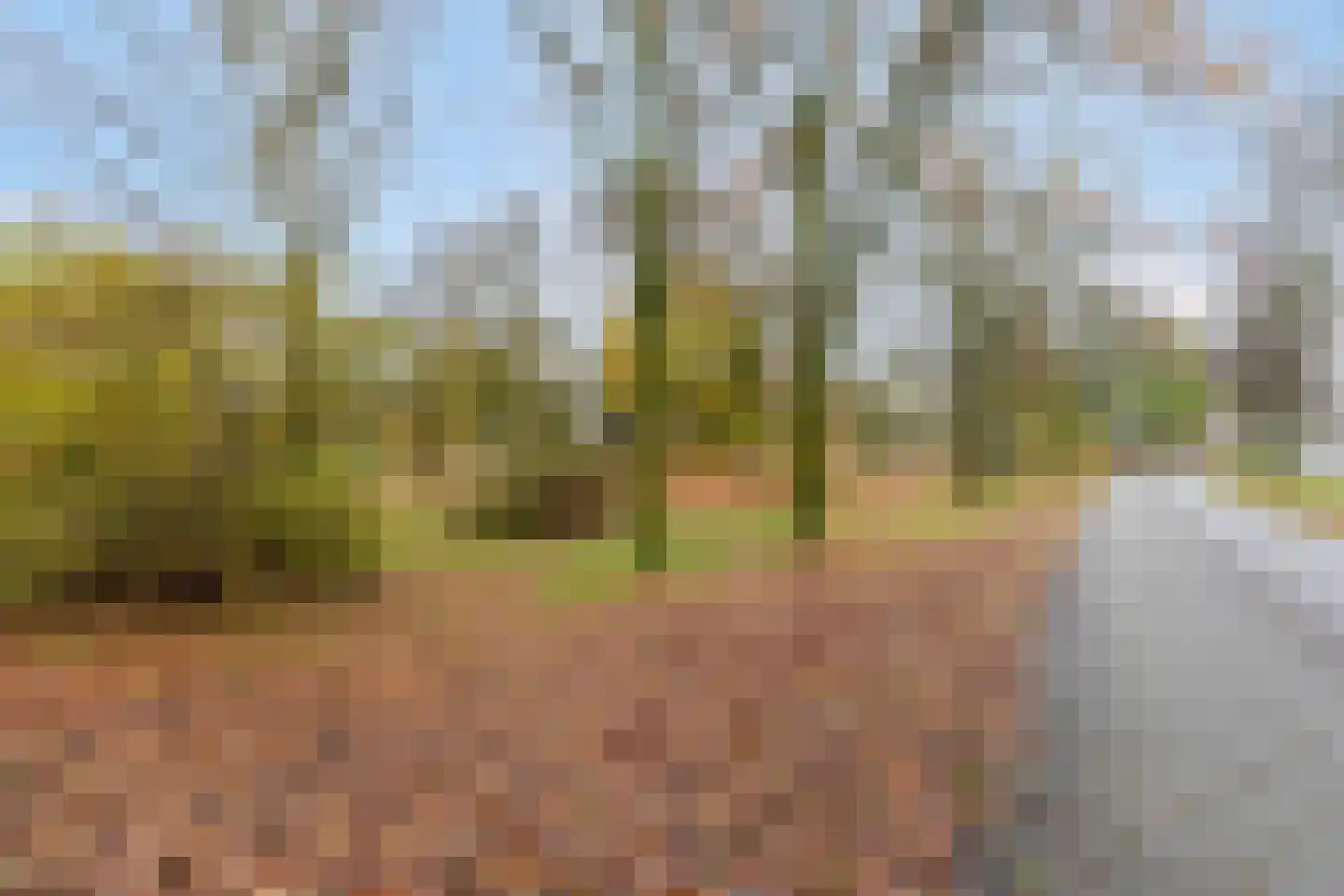 Magnoliahof 69 's-Hertogenbosch thumbnail 23