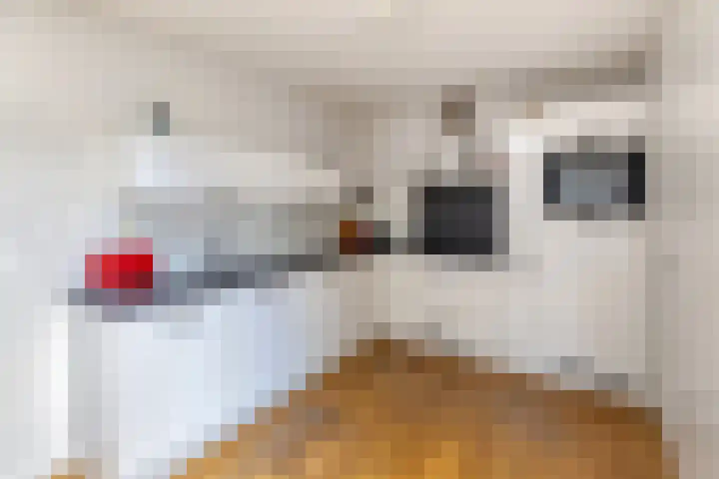 Magnoliahof 69 's-Hertogenbosch thumbnail 6