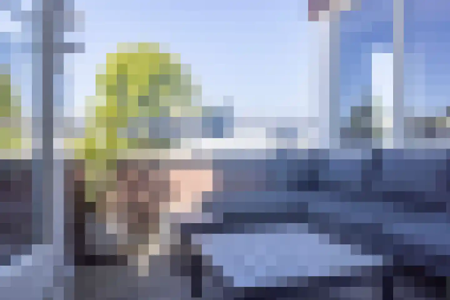 Magnoliahof 7 's-Hertogenbosch thumbnail 4