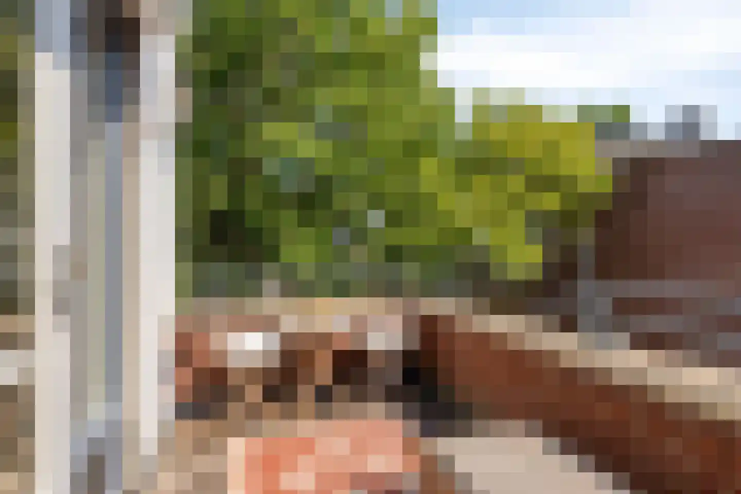 Magnoliahof 73 's-Hertogenbosch thumbnail 20