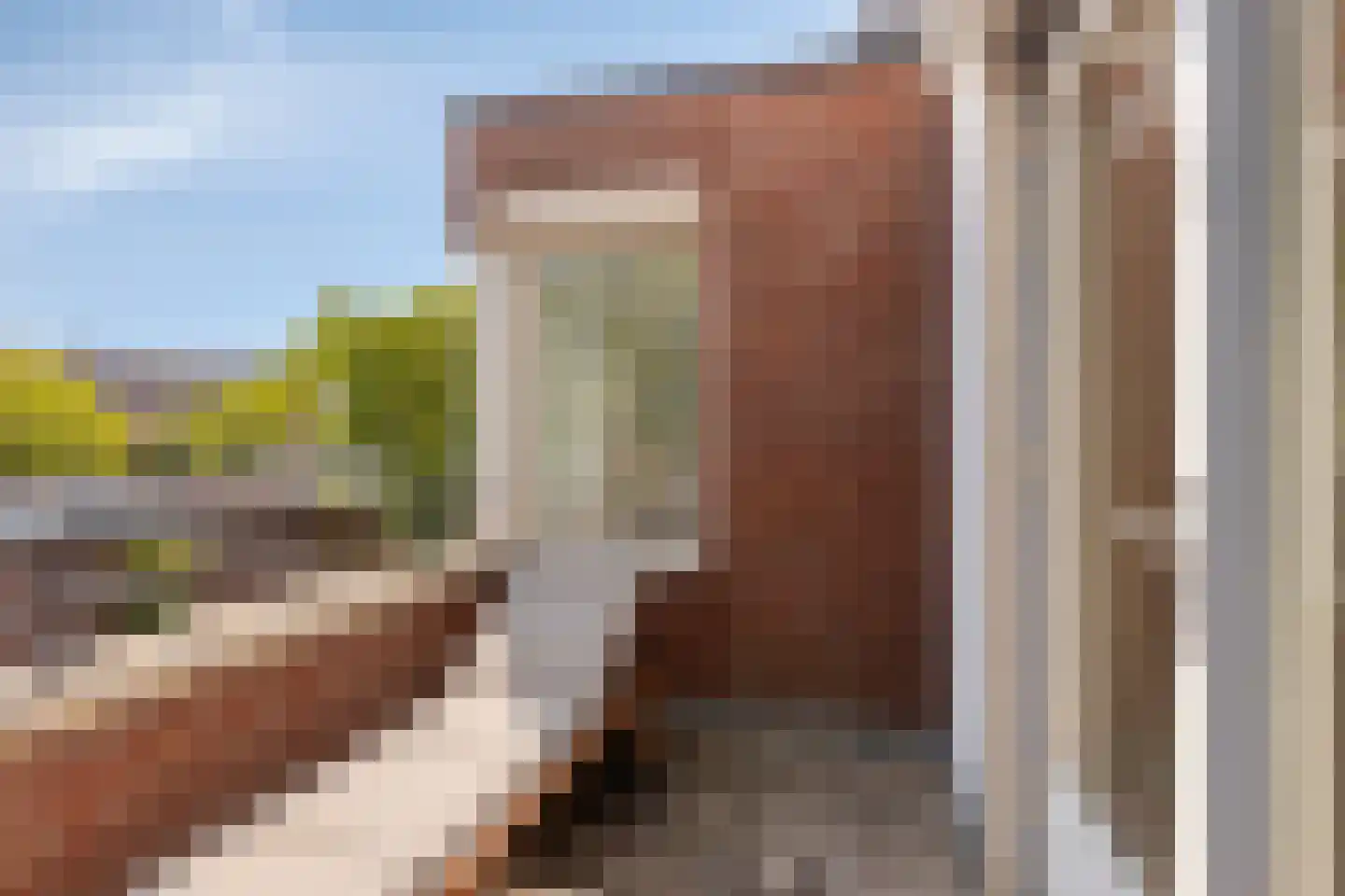 Magnoliahof 73 's-Hertogenbosch thumbnail 21