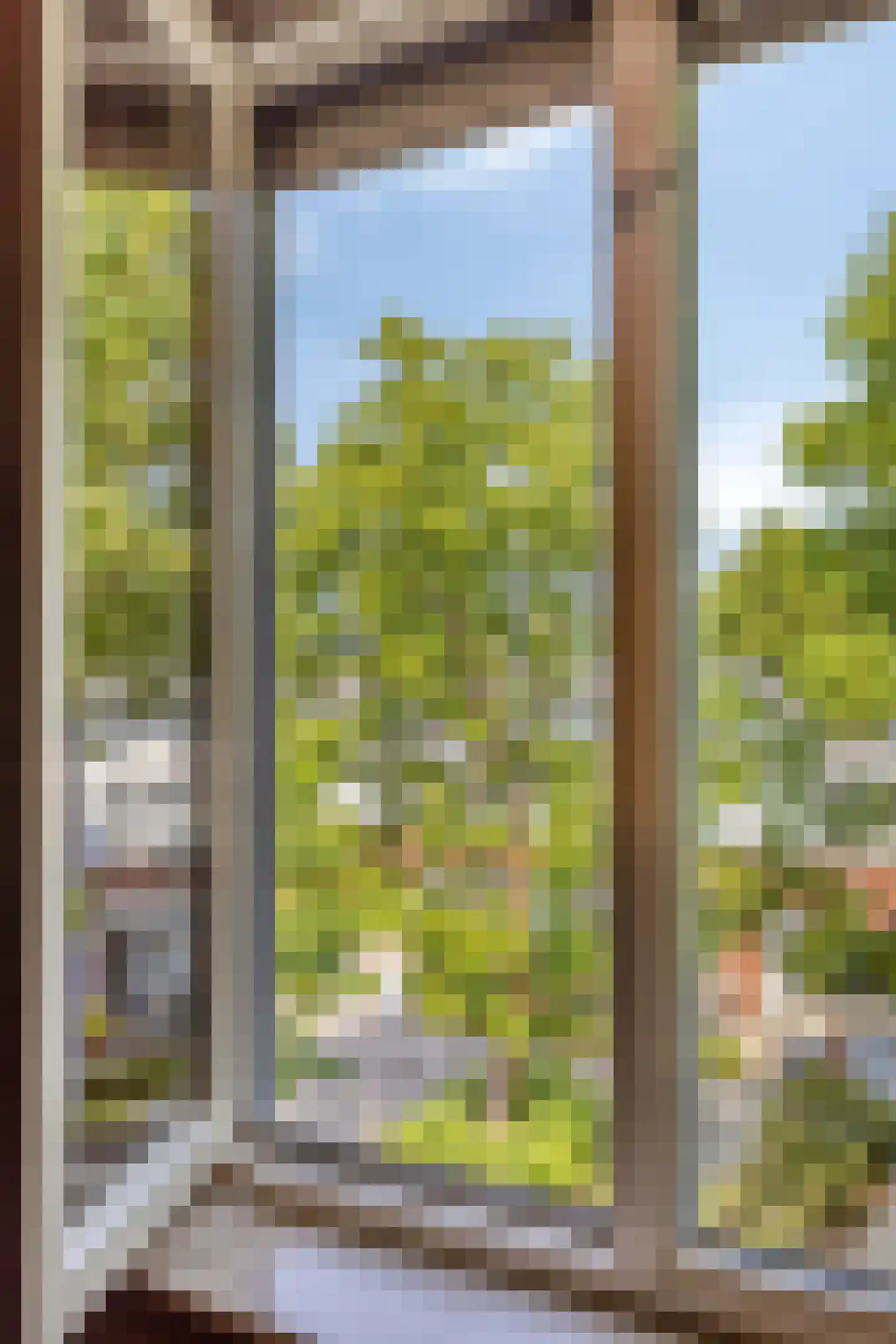 Magnoliahof 73 's-Hertogenbosch thumbnail 32