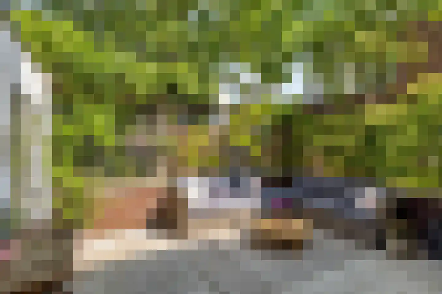 Magnoliahof 73 's-Hertogenbosch thumbnail 34