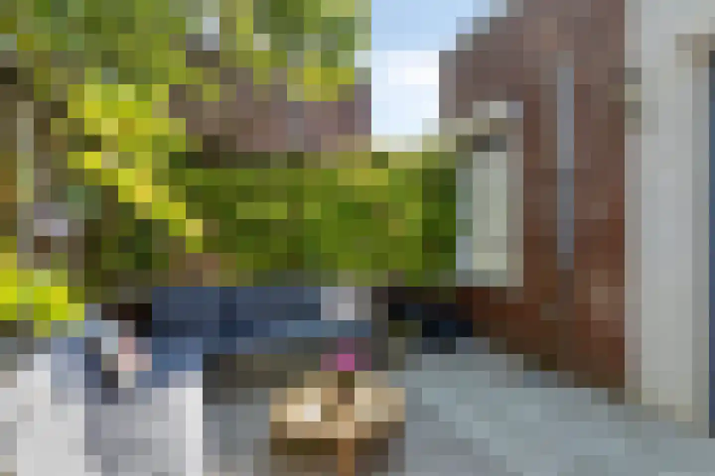 Magnoliahof 73 's-Hertogenbosch thumbnail 35