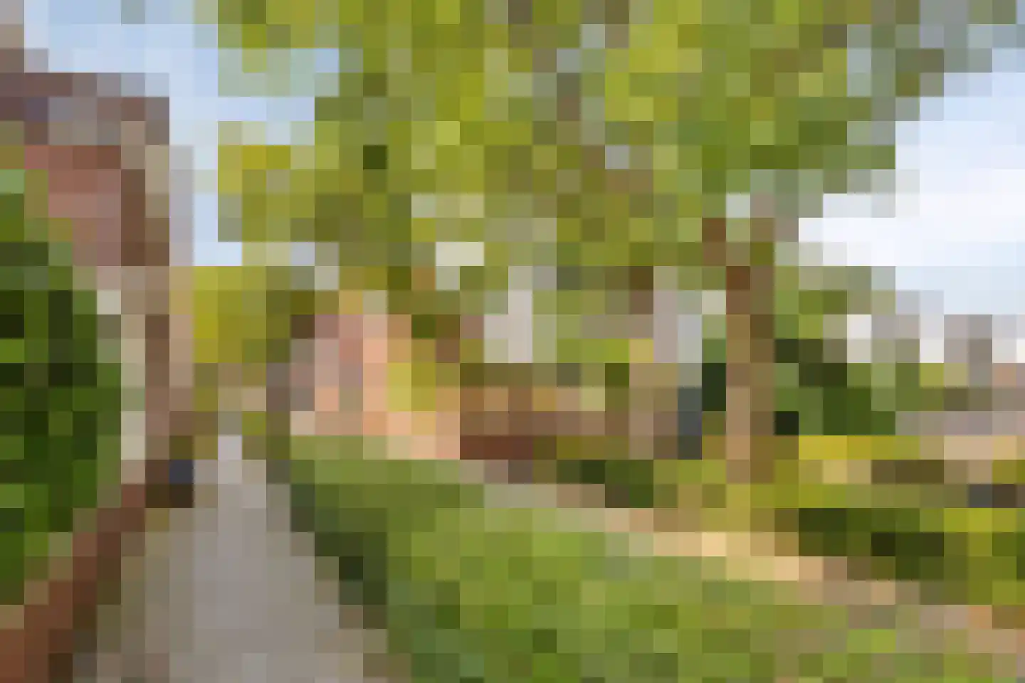 Magnoliahof 73 's-Hertogenbosch thumbnail 37