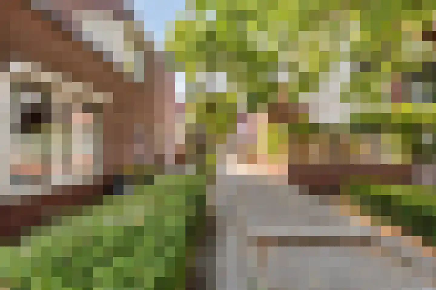 Magnoliahof 73 's-Hertogenbosch thumbnail 38