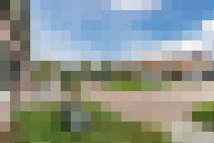 Magnoliahof 8 Reusel thumbnail 45
