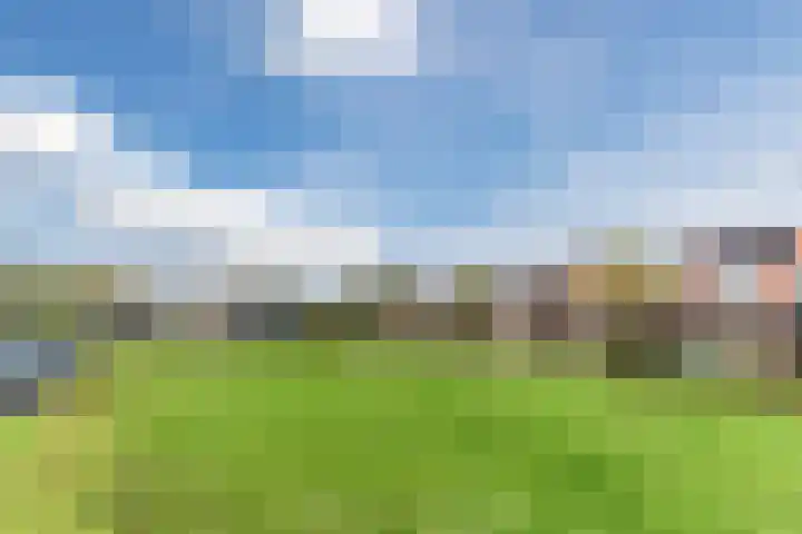 Magnoliahof 8 Reusel thumbnail 46