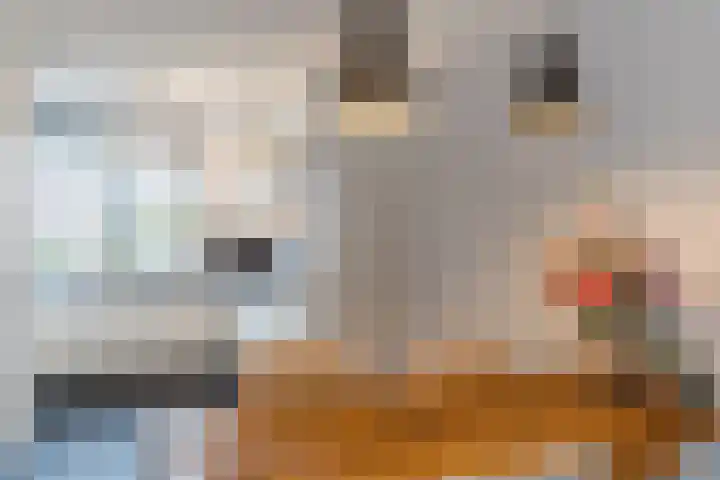 Magnoliahof 8 Reusel thumbnail 6