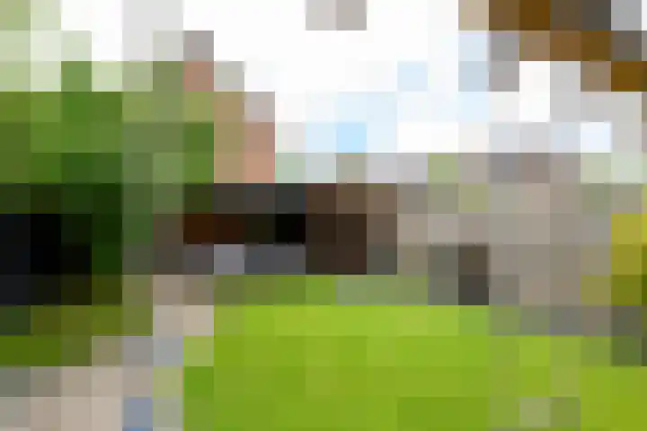 Magnoliahove 24 Kwintsheul thumbnail 10