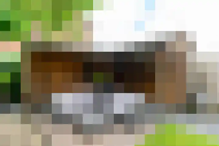 Magnoliahove 24 Kwintsheul thumbnail 12