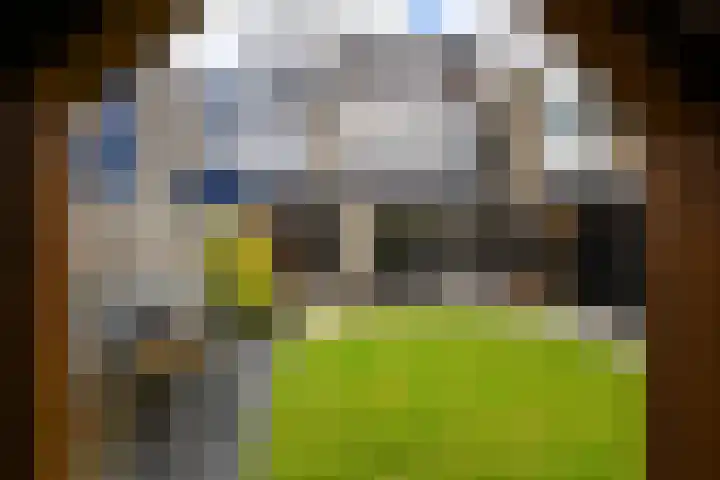 Magnoliahove 24 Kwintsheul thumbnail 14