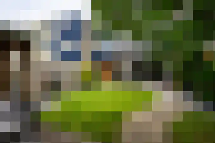 Magnoliahove 24 Kwintsheul thumbnail 15