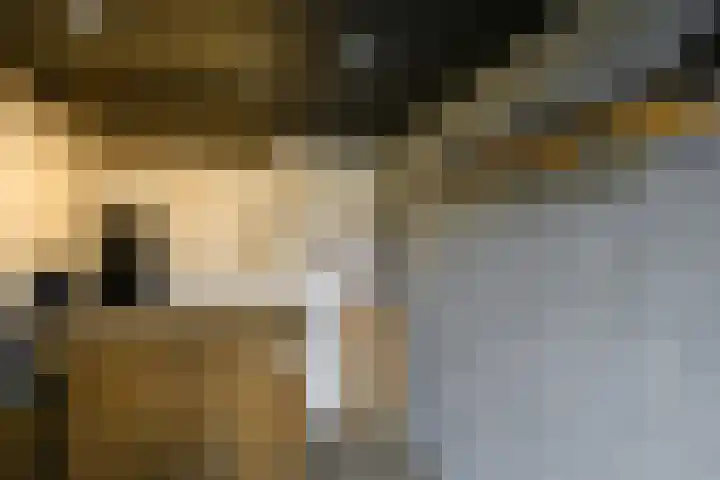 Magnoliahove 24 Kwintsheul thumbnail 16