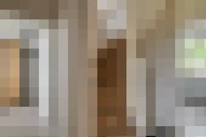 Magnoliahove 24 Kwintsheul thumbnail 20