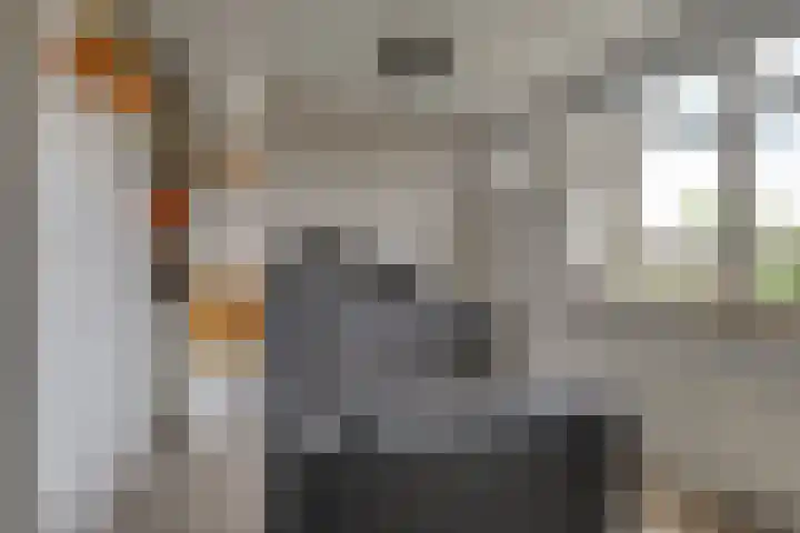Magnoliahove 24 Kwintsheul thumbnail 22