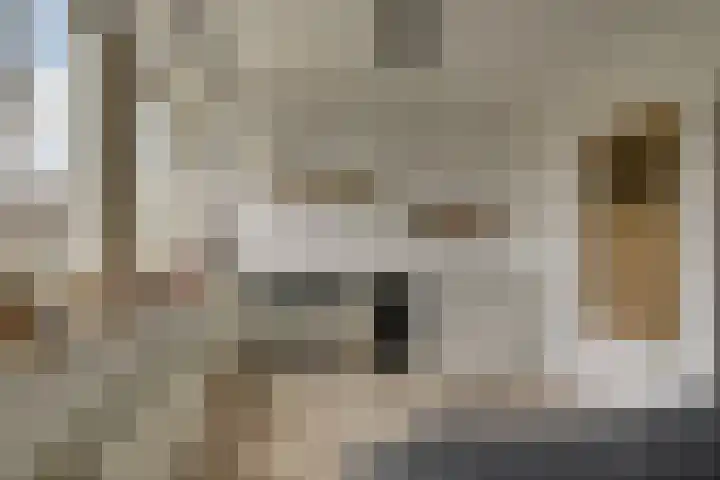 Magnoliahove 24 Kwintsheul thumbnail 23