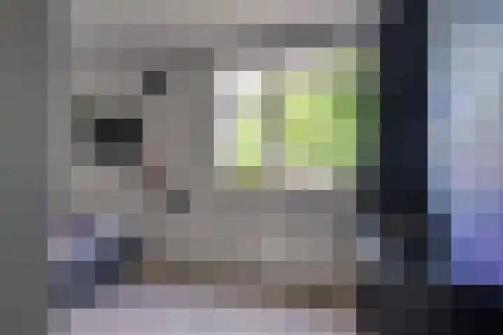Magnoliahove 24 Kwintsheul thumbnail 27