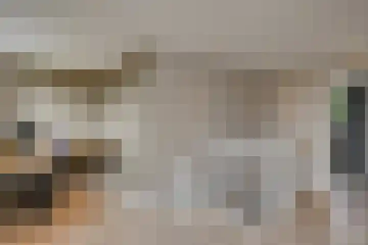Magnoliahove 24 Kwintsheul thumbnail 29