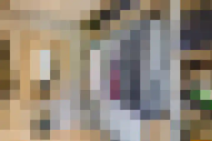 Magnoliahove 24 Kwintsheul thumbnail 32