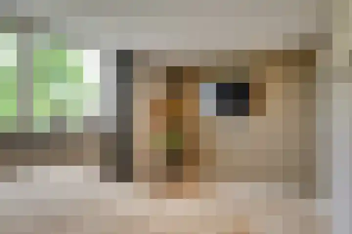 Magnoliahove 24 Kwintsheul thumbnail 33