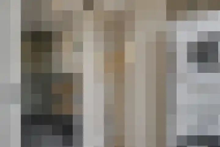Magnoliahove 24 Kwintsheul thumbnail 34