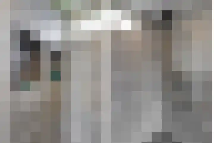 Magnoliahove 24 Kwintsheul thumbnail 36