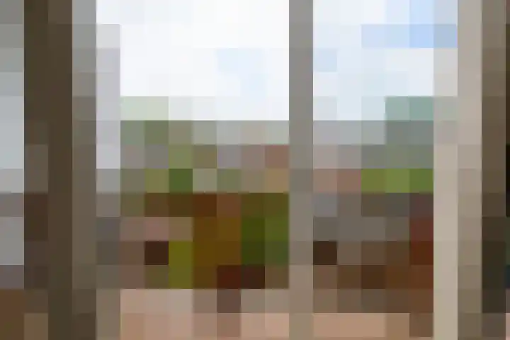 Magnoliahove 24 Kwintsheul thumbnail 38