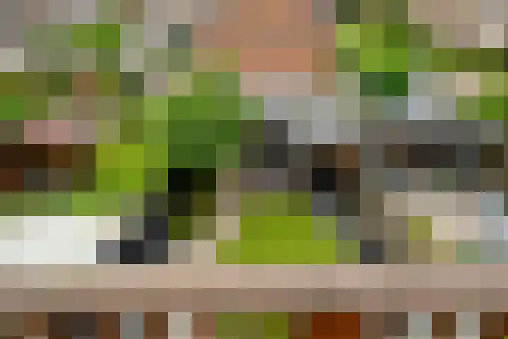 Magnoliahove 24 Kwintsheul thumbnail 39