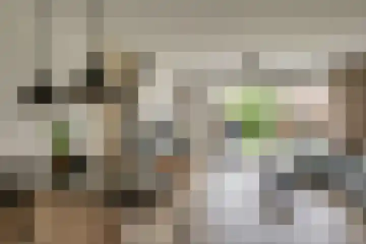 Magnoliahove 24 Kwintsheul thumbnail 4