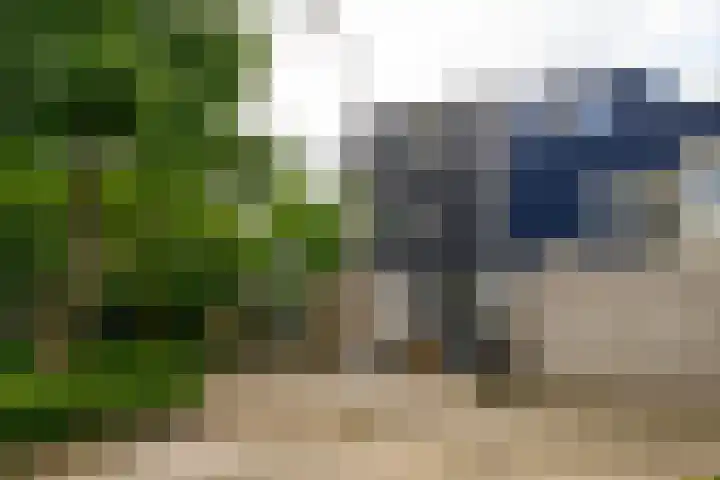 Magnoliahove 24 Kwintsheul thumbnail 40