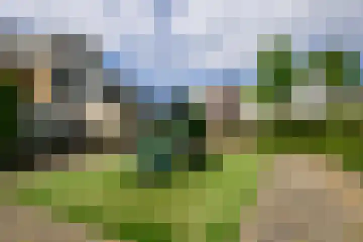 Magnoliahove 24 Kwintsheul thumbnail 41