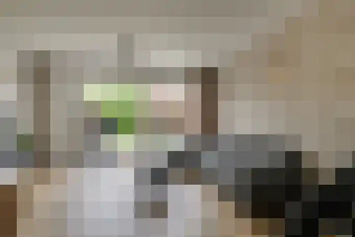 Magnoliahove 24 Kwintsheul thumbnail 5