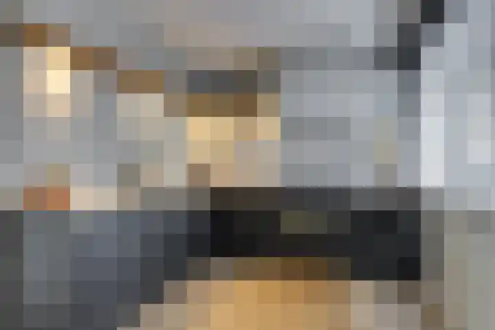 Magnoliahove 24 Kwintsheul thumbnail 6