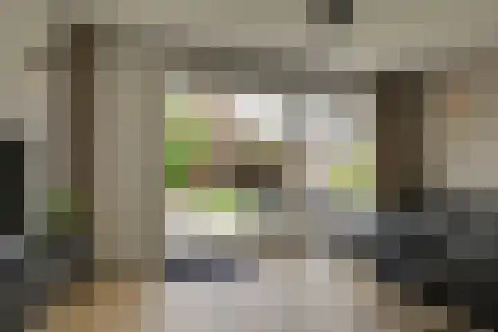 Magnoliahove 24 Kwintsheul thumbnail 8