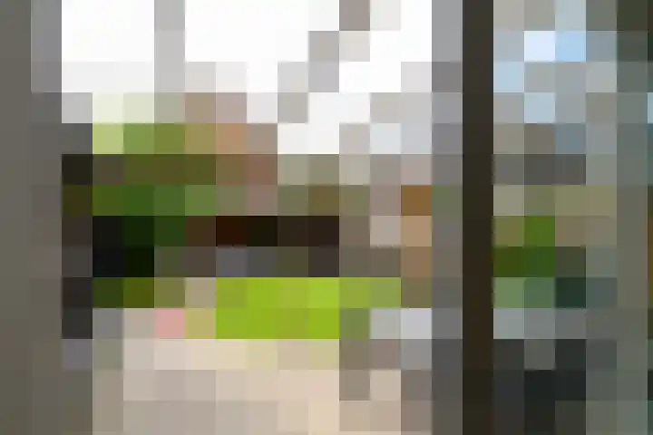 Magnoliahove 24 Kwintsheul thumbnail 9