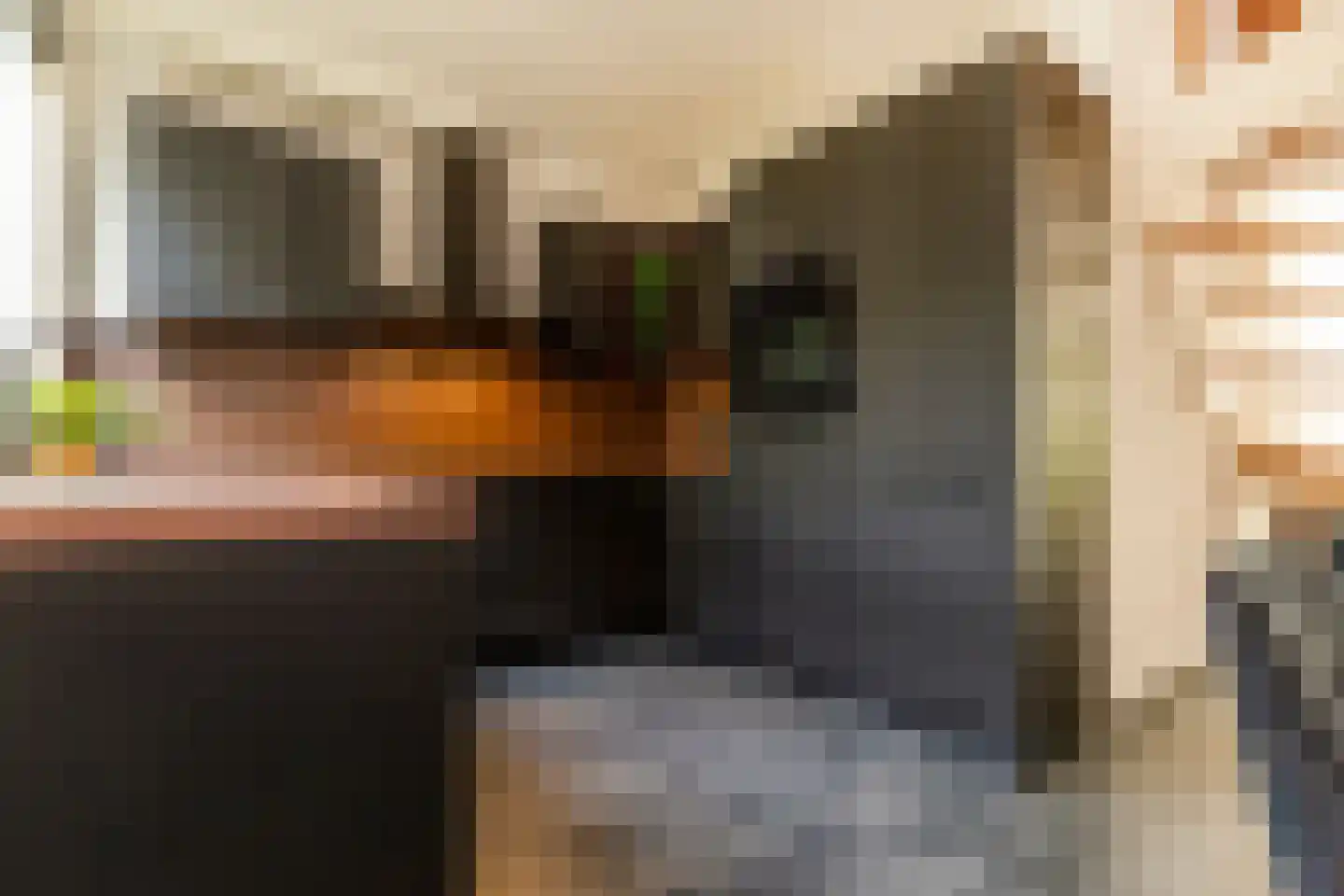 Magnoliahove 28 Kwintsheul thumbnail 15