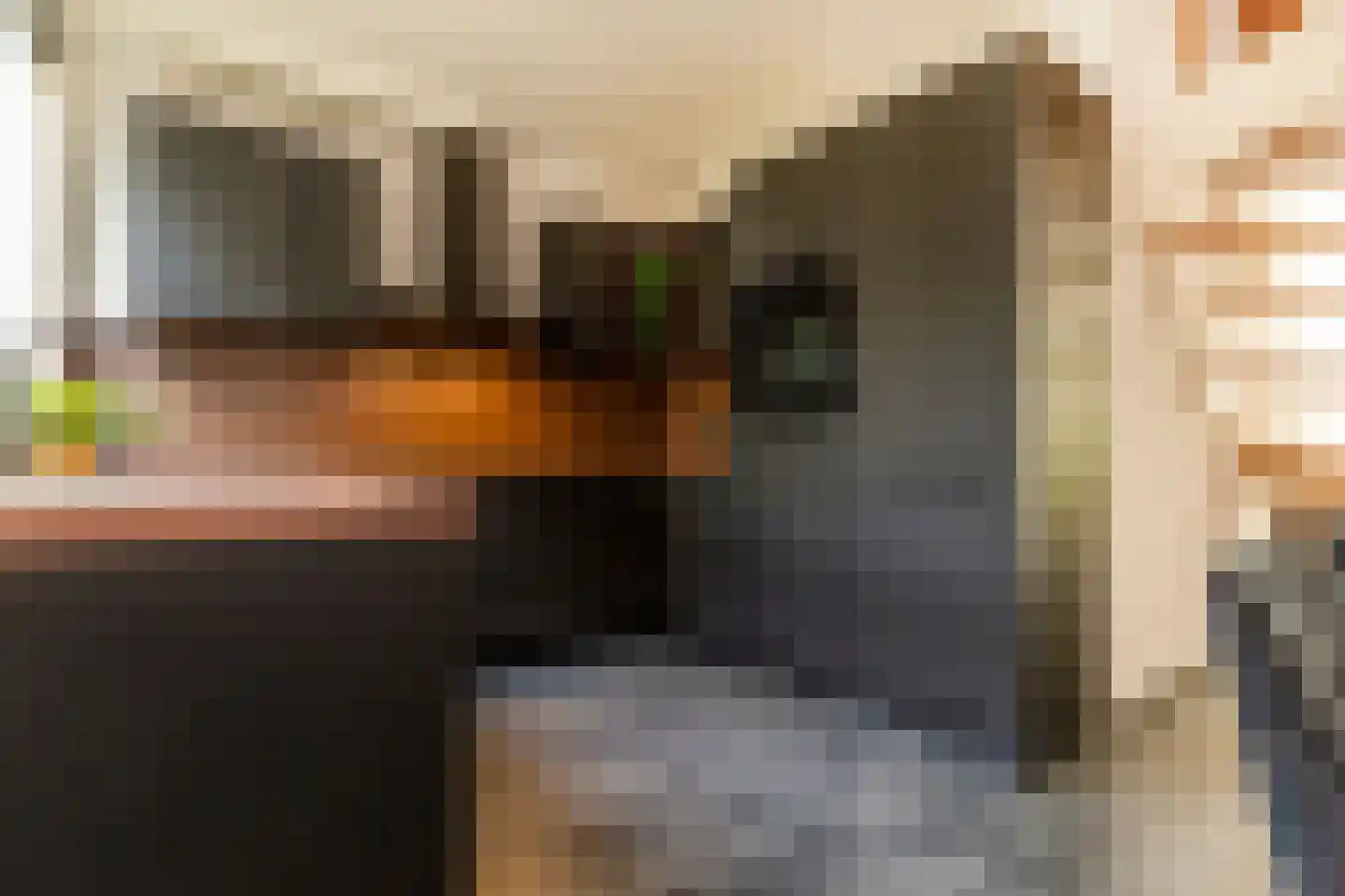 Magnoliahove 28 Kwintsheul thumbnail 15