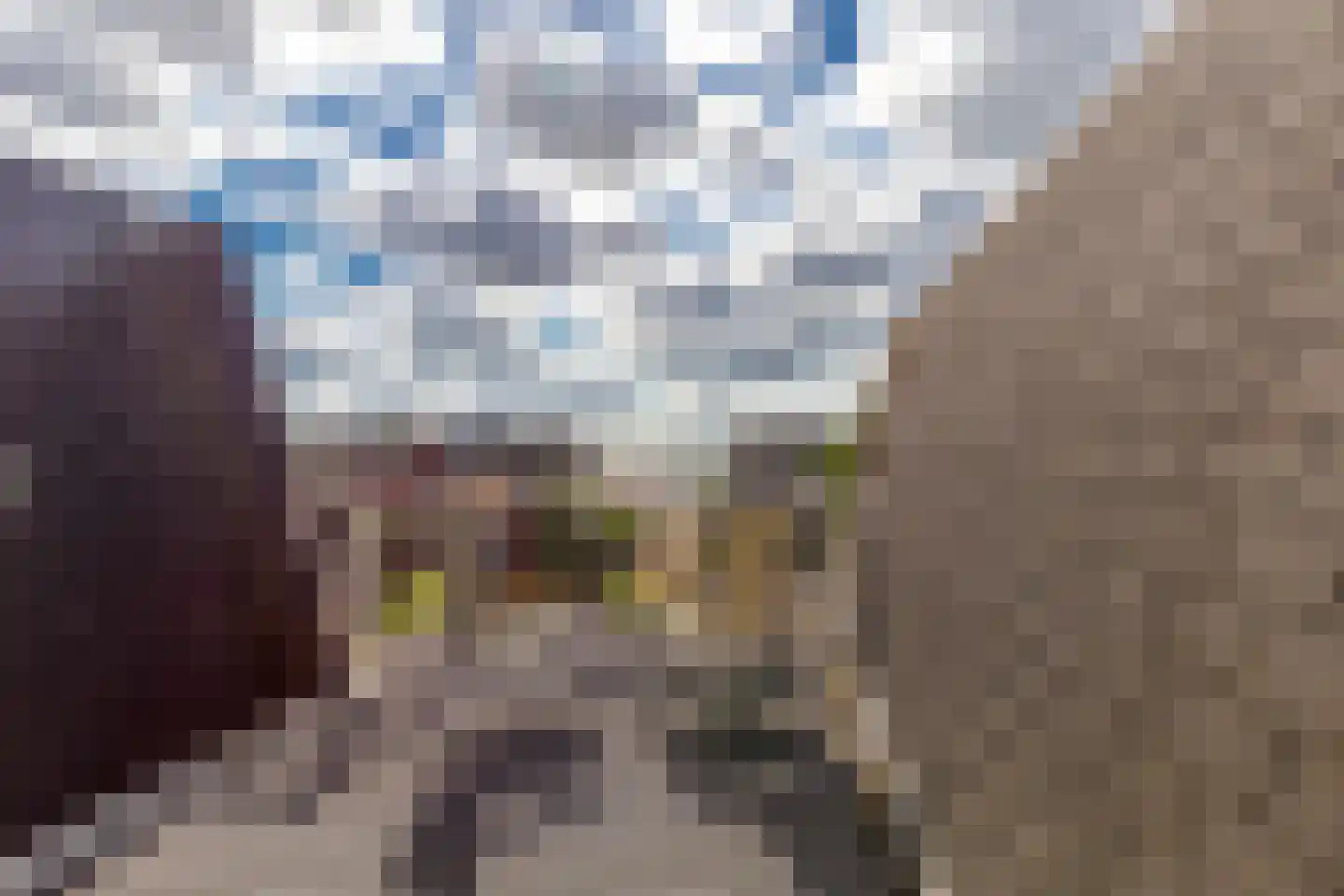 Magnoliahove 28 Kwintsheul thumbnail 23