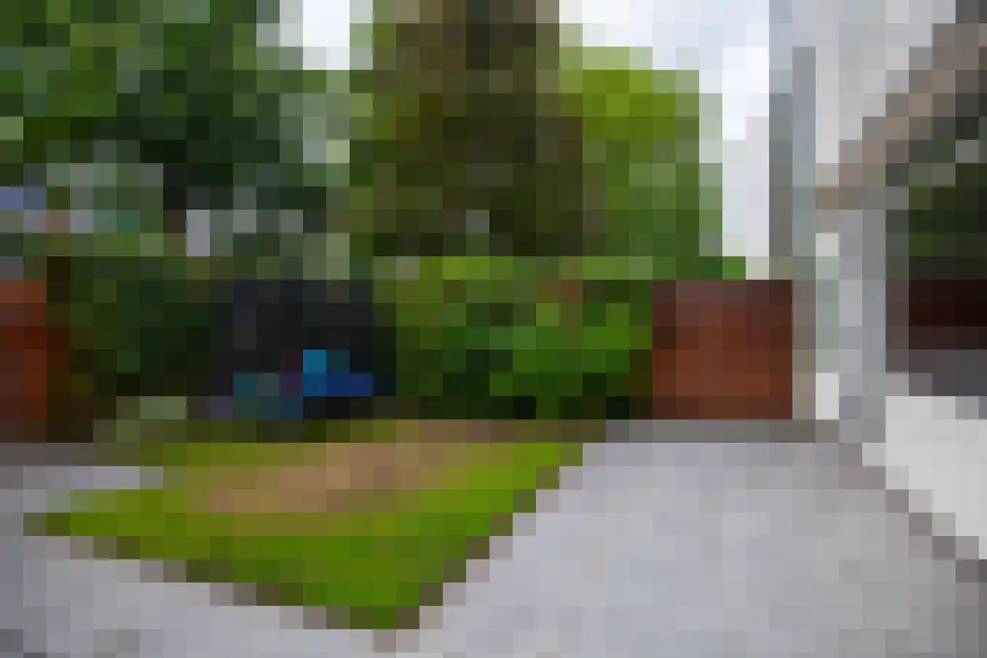 Magnoliahove 28 Kwintsheul thumbnail 40