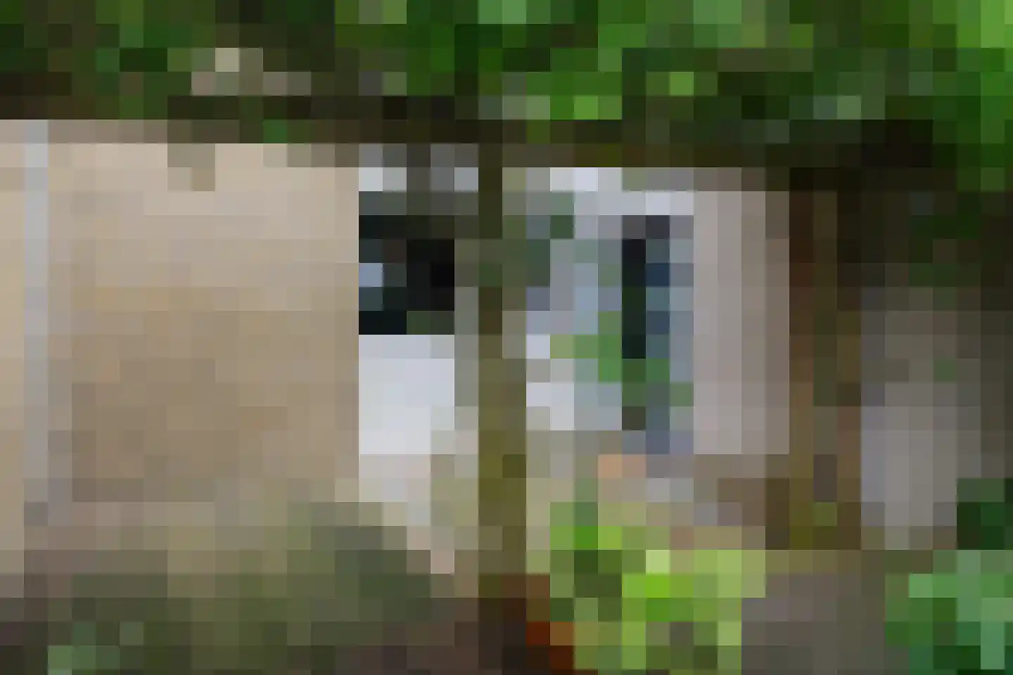 Magnoliahove 28 Kwintsheul thumbnail 42